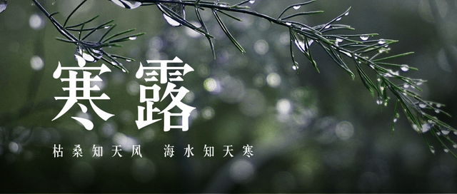 寒露|裊裊涼風(fēng)動，凄凄寒露零